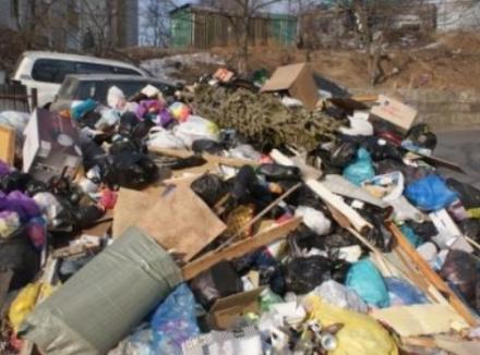 Эколог: установка видеокамер на свалках Севастополя  – это отмывание денег