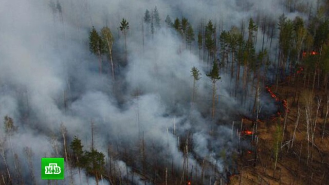 Рухнувший в Хабаровском крае Ми-8 вспыхнул от лесного пожара