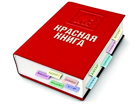 В Севастополе появится своя "Красная книга"
