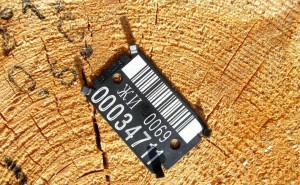 Дерево со штрих-кодом. В Крыму планируют ввести электронный учет древесины
