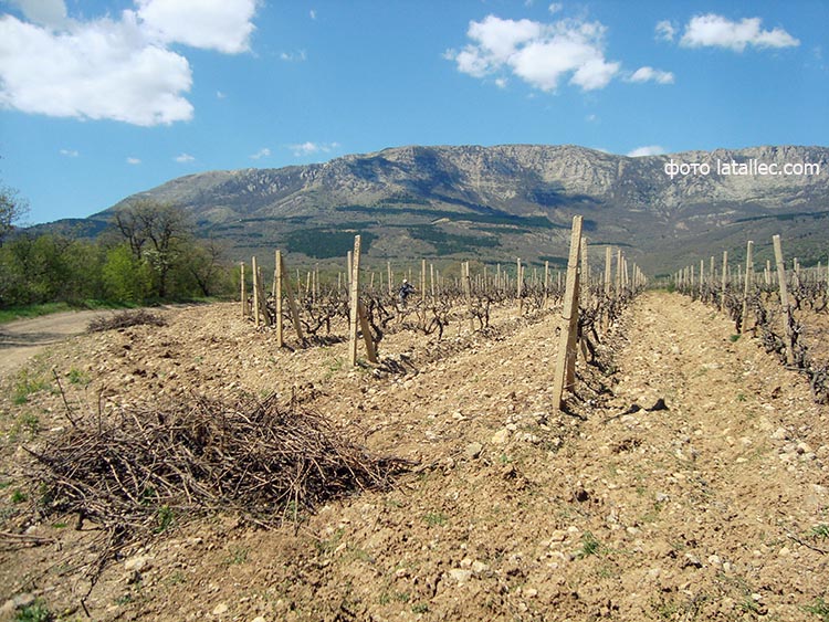 Без полива в Крыму останется более 100 тыс гектаров земли