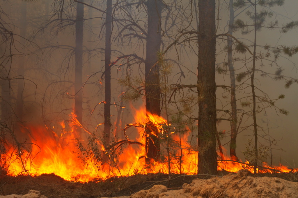 Пожар в Забайкалье: площадь увеличилась за сутки в 4 раза