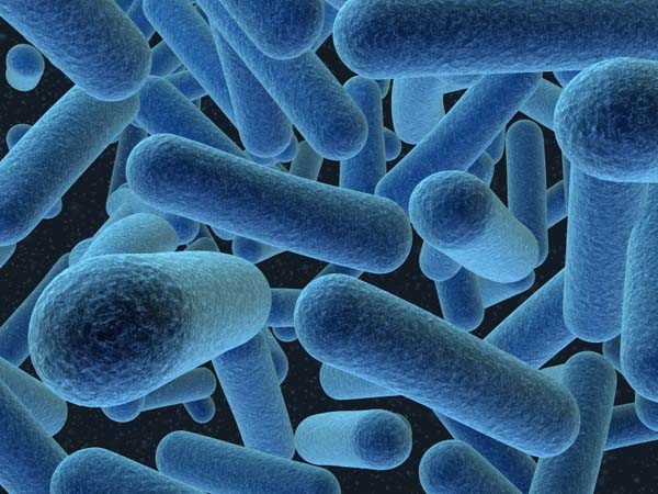 Ученые назвали самый богатый на бактерии народ в мире