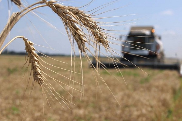 Крымские сельхозпредприятия получат около 14 млн рублей господдержки