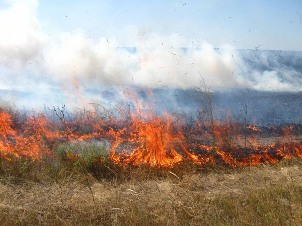 В Севастополе поднялся уровень пожароопасности