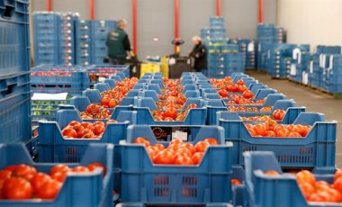 Россельхознадзор не пропустил в Крым 850 тонн овощей и фруктов из Украины