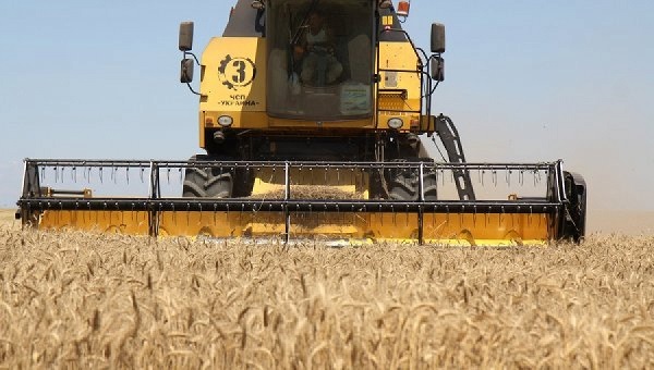 В Крыму собрали рекордный урожай зерна
