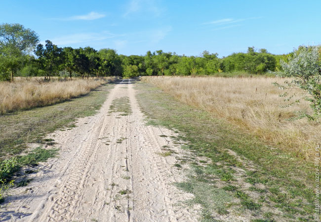 В Минтрансе Крыма предлагают заменить грунтовые дороги в селах асфальтом