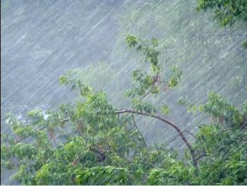 МЧС предупреждает: в понедельник на Крым обрушатся сильные дожди и ветер