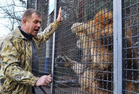 Олег Зубков показал, как живут животные в закрытых «Тайгане» и «Сказке» (ФОТОРЕПОРТАЖ)
