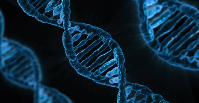 Ученые получили разрешение на генетическую модификацию человеческих эмбрионов