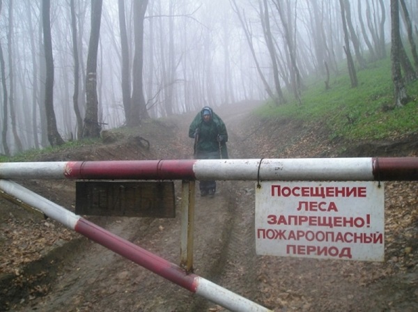 В ближайшие дни в Крыму объявят повышенный уровень пожароопасности