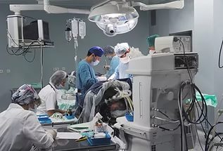Израильские инвесторы построят в Ялте онкологический центр