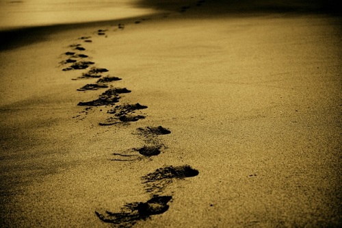 Ученые бьют тревогу: добыча песка может привести к исчезновению пляжей в Крыму